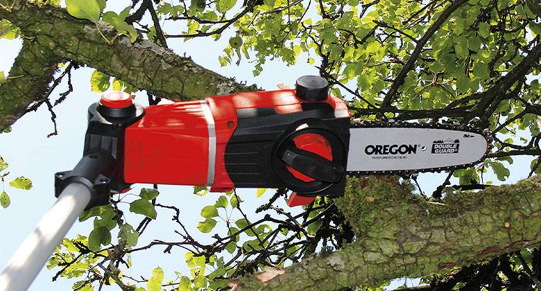 a branch is cut with a high pruner